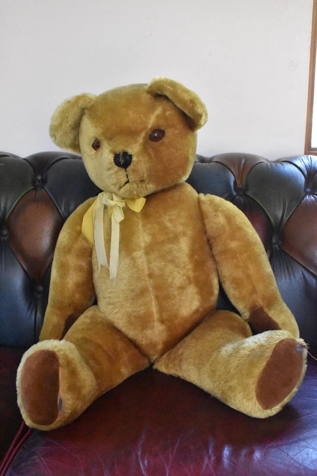 Vintage 1950s Pedigree Mohair Teddy Bear Bells 70cm Large Collectable