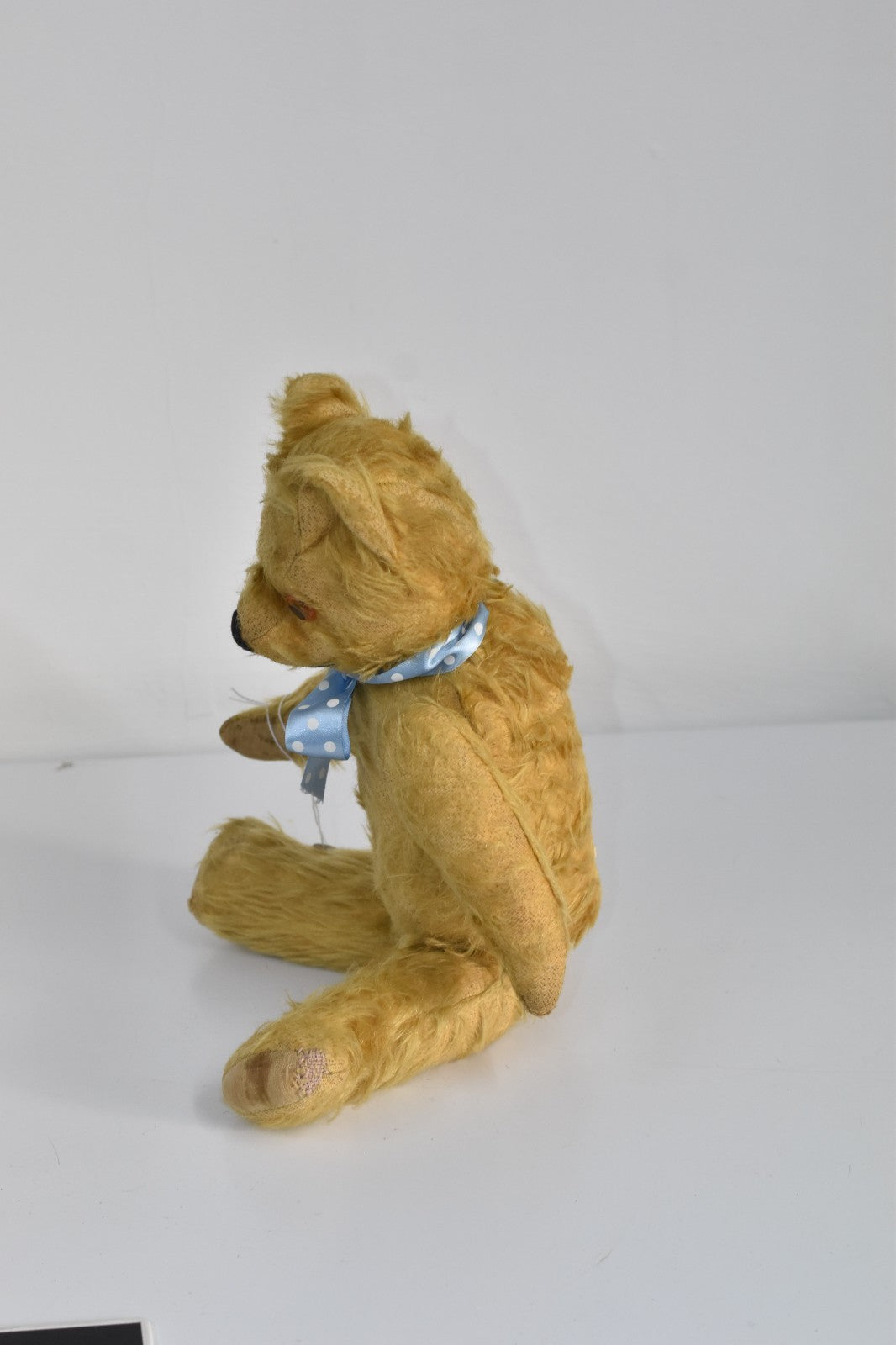 Vintage 1950s Pedigree Mohair Teddy Bear with Working Growler