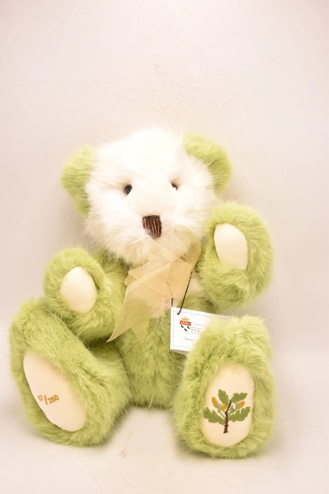 Canterbury Bears Acorn Green Plush Teddy Bear Limited Edition 57 of 250 Soft Toy