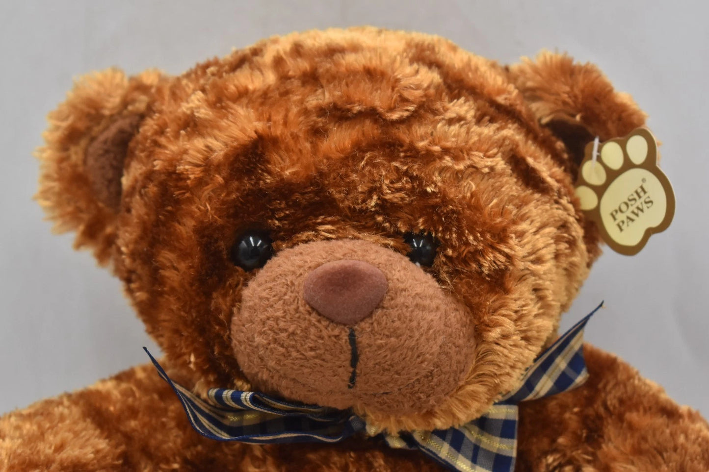 Posh Paws Bear Hugs Plush Teddy Bear 27cm