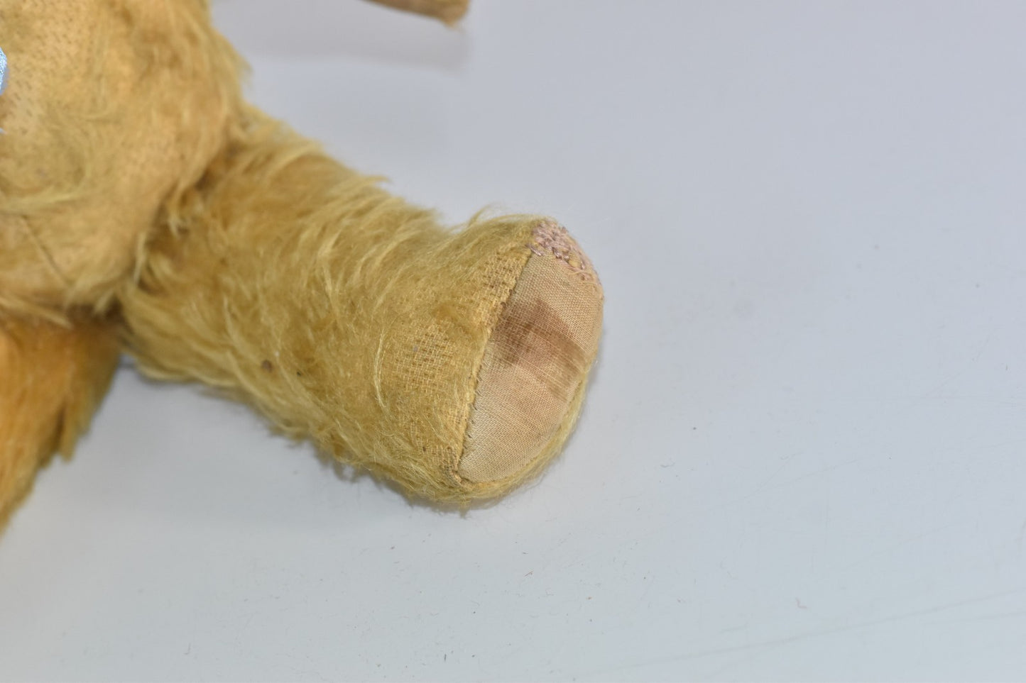 Vintage 1950s Pedigree Mohair Teddy Bear with Working Growler