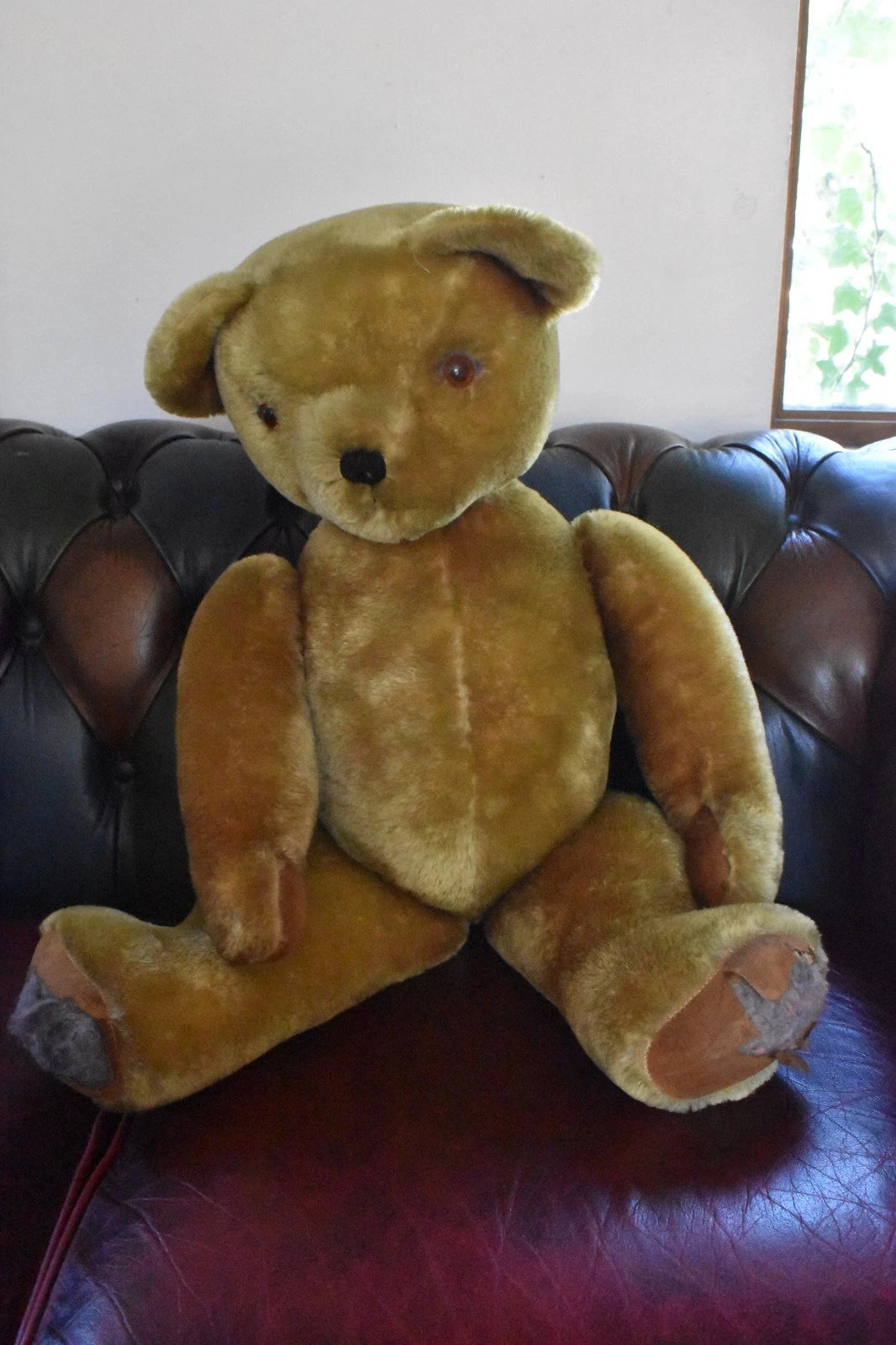 Vintage 1950s Pedigree Mohair Teddy Bear Bells 70cm Large Collectable