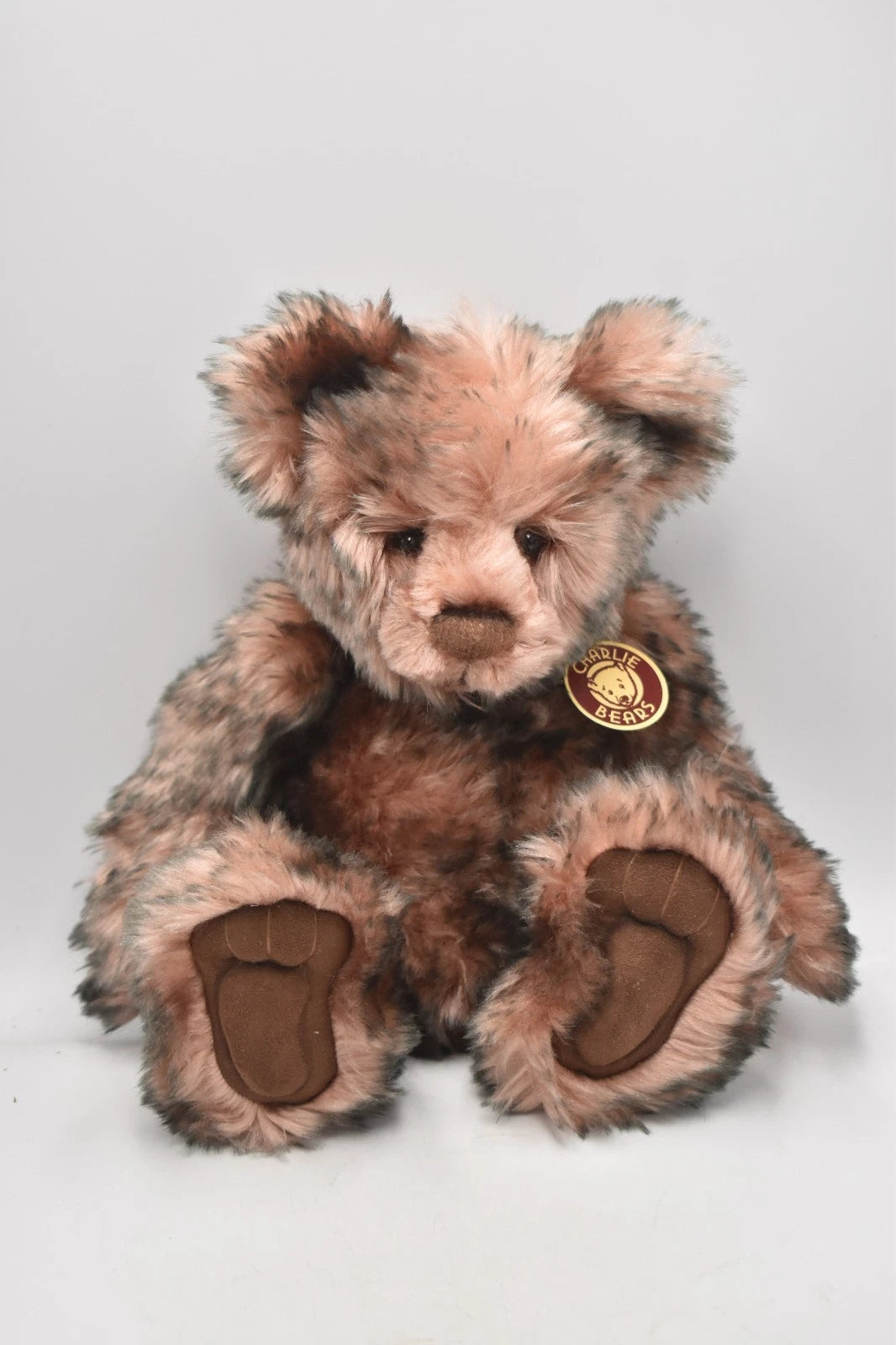 Charlie Bears Ashley Teddy Bear Retired Tagged Isabelle Lee Designed