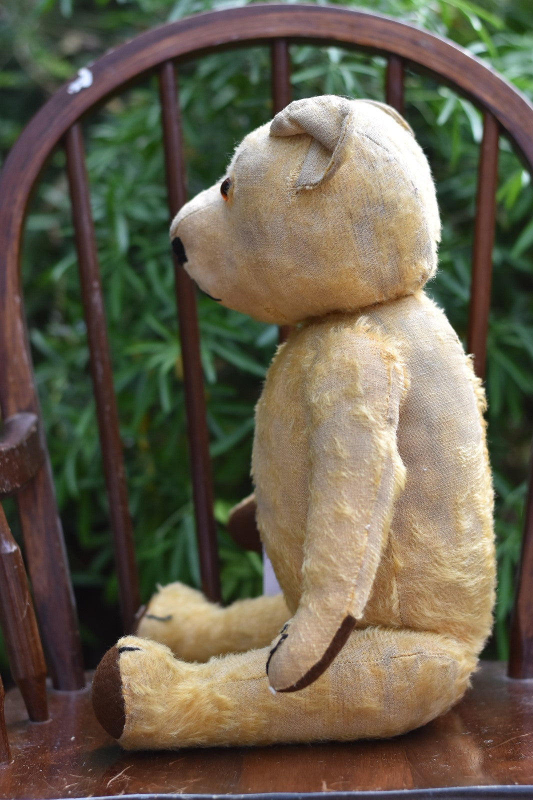 Vintage 1930s Chad Valley Magna Bear – With Foot Label – 50cm – Fully Jointed