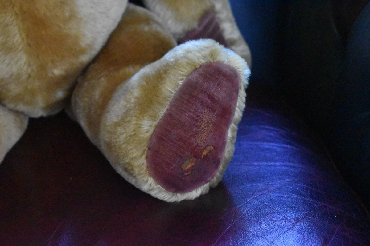 Vintage 1950s Pedigree Mohair Teddy Bear Winnie The Pooh Bells 70cm Collectable