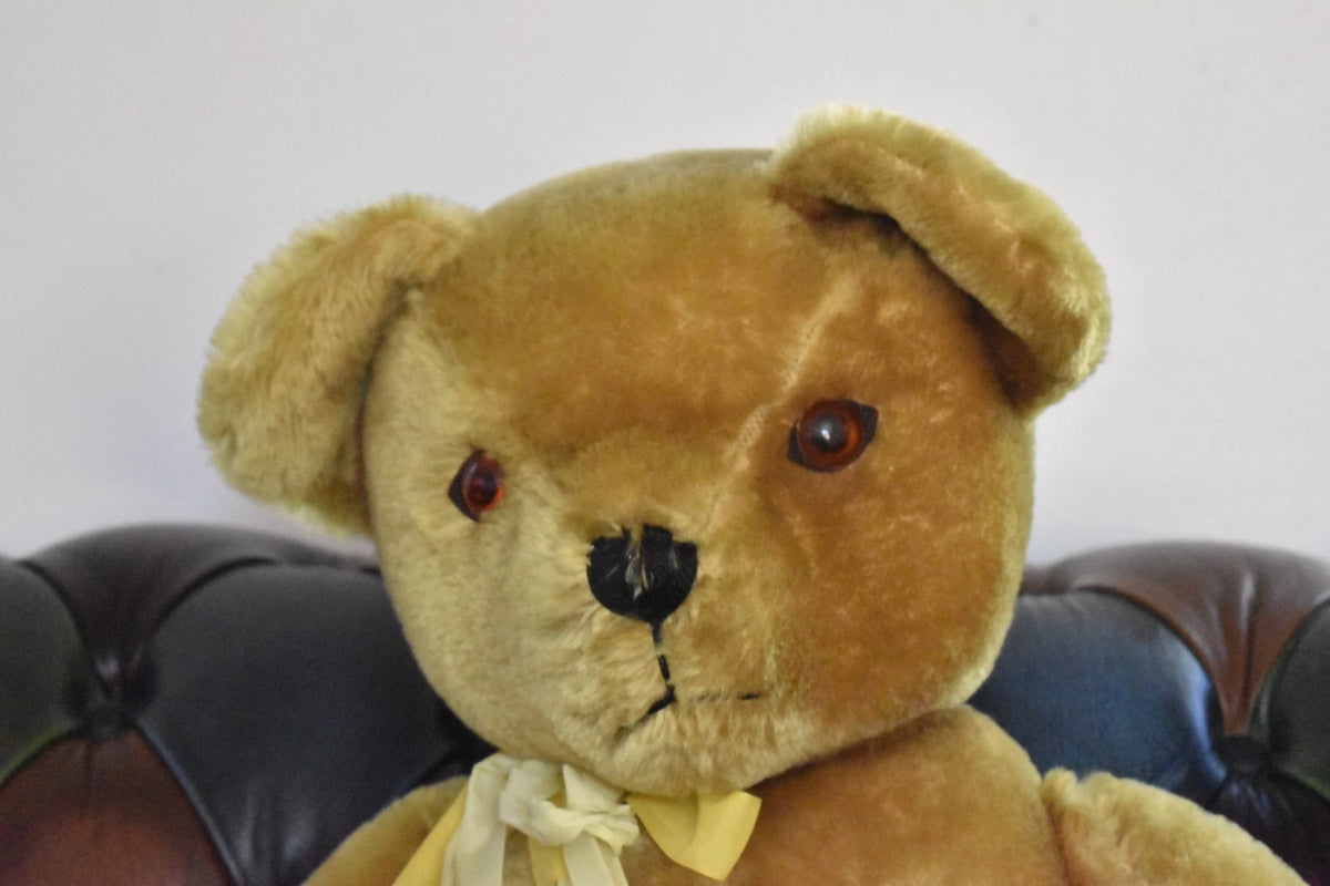 Vintage 1950s Pedigree Mohair Teddy Bear Bells 70cm Large Collectable