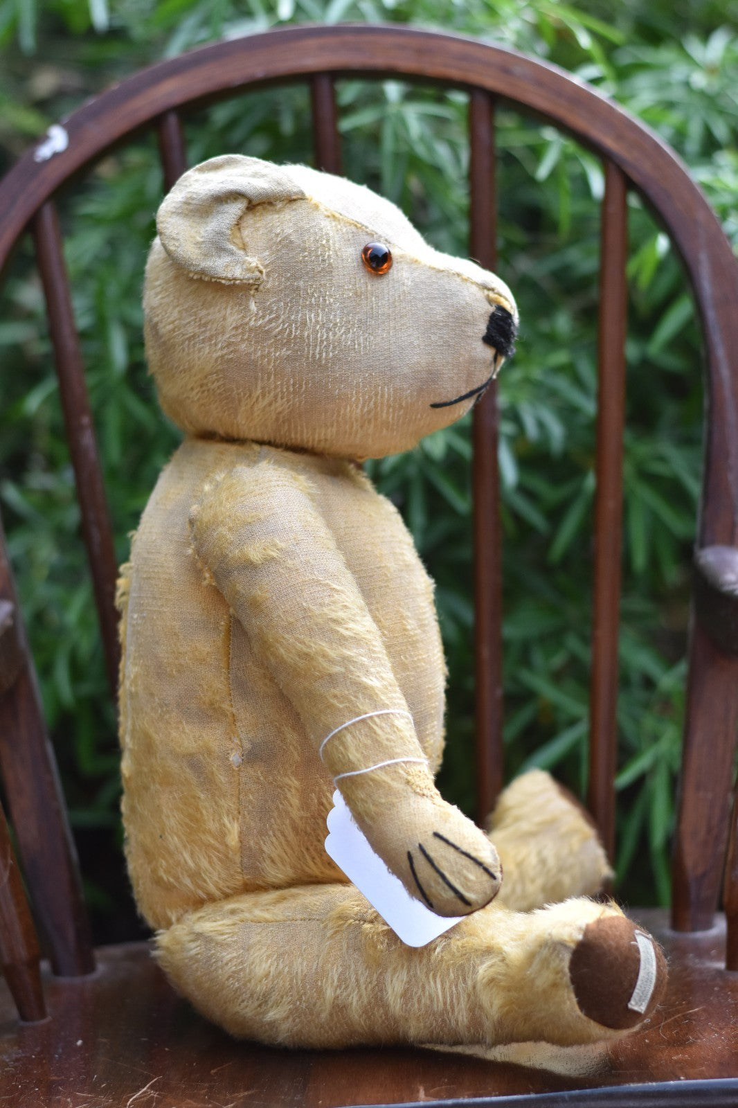 Vintage 1930s Chad Valley Magna Bear – With Foot Label – 50cm – Fully Jointed
