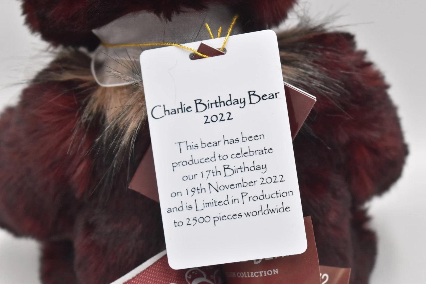 Charlie Bears Birthday Bear 2022 Teddy Bear Retired Tagged Isabelle Lee Designed