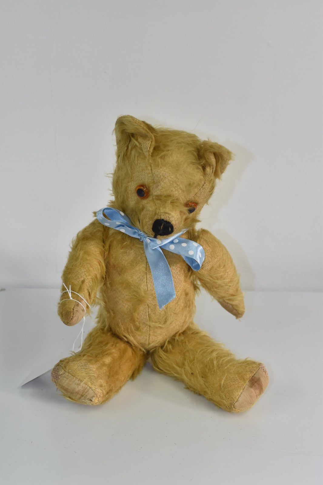 Vintage 1950s Pedigree Mohair Teddy Bear with Working Growler