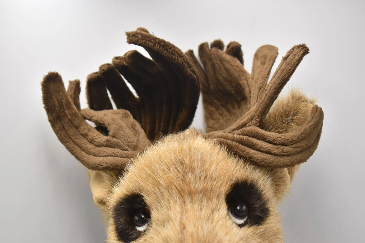 Charlie Bears Alaska Teddy Bear Isabelle Lee Designed Retired Tagged 40cm