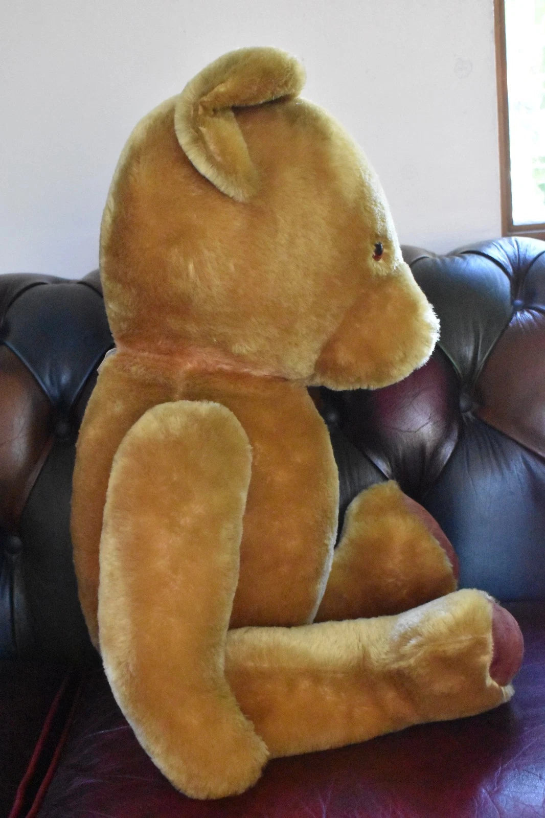 Vintage 1950s Pedigree Mohair Teddy Bear Winnie The Pooh Bells 70cm Collectable