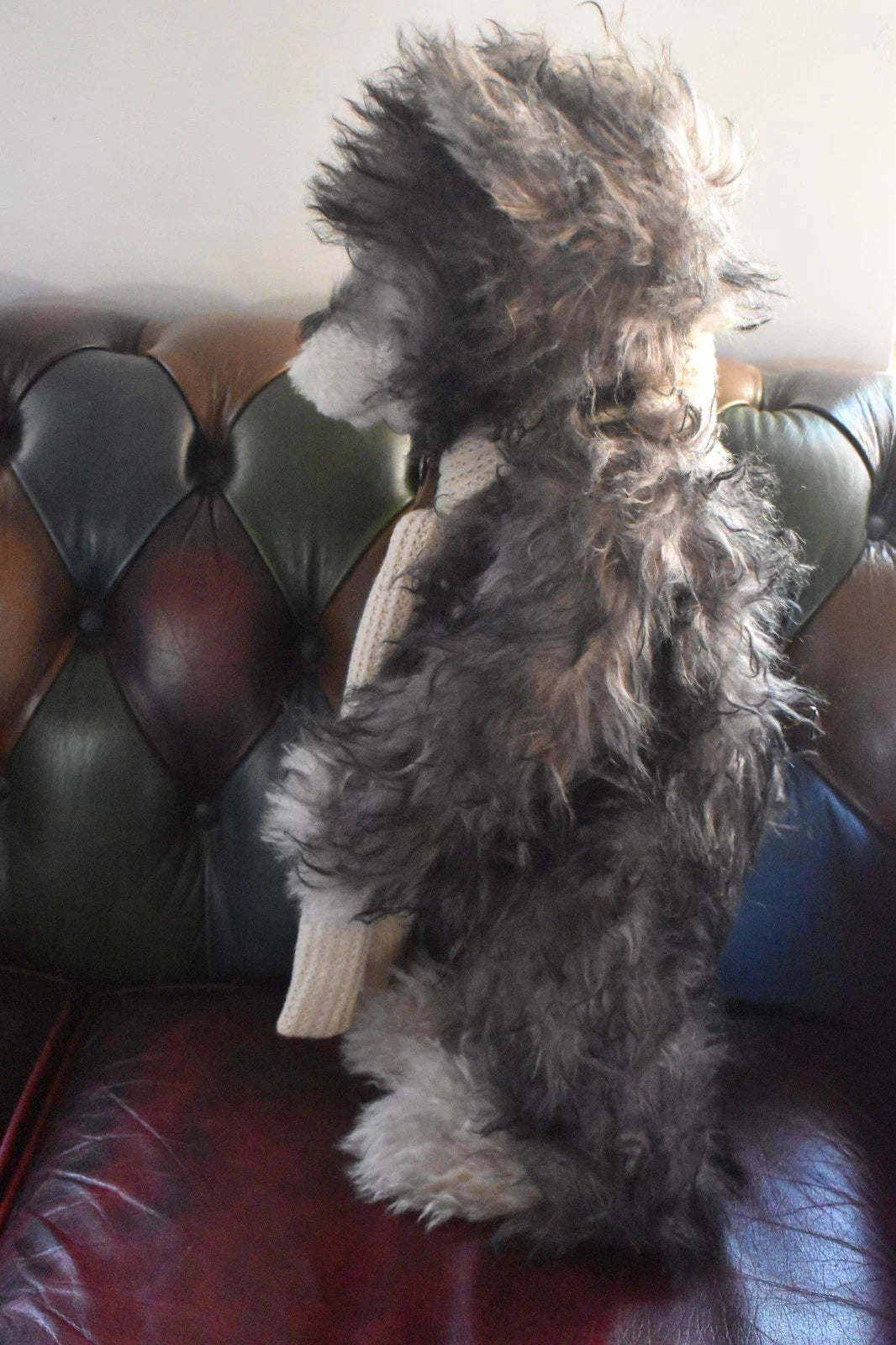 Charlie Bears Original Sylvester Isabelle Collection Teddy Bear Limited Edition