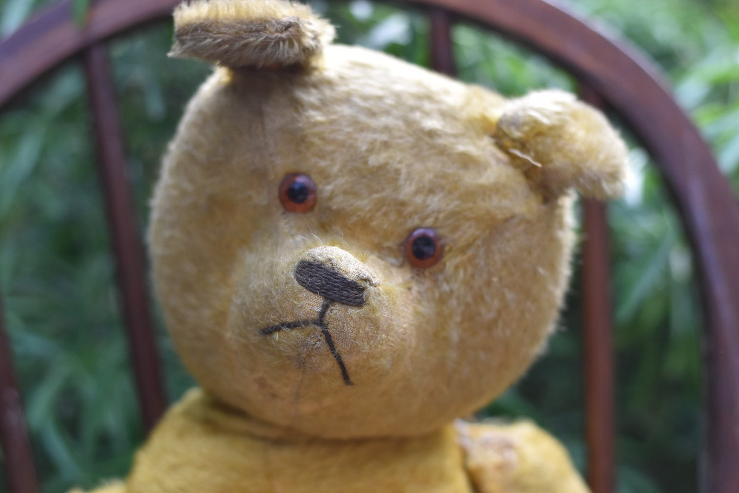 Vintage 1920s American Mohair Teddy Bear Chuck 60cm, Fully Jointed, Wood Wool