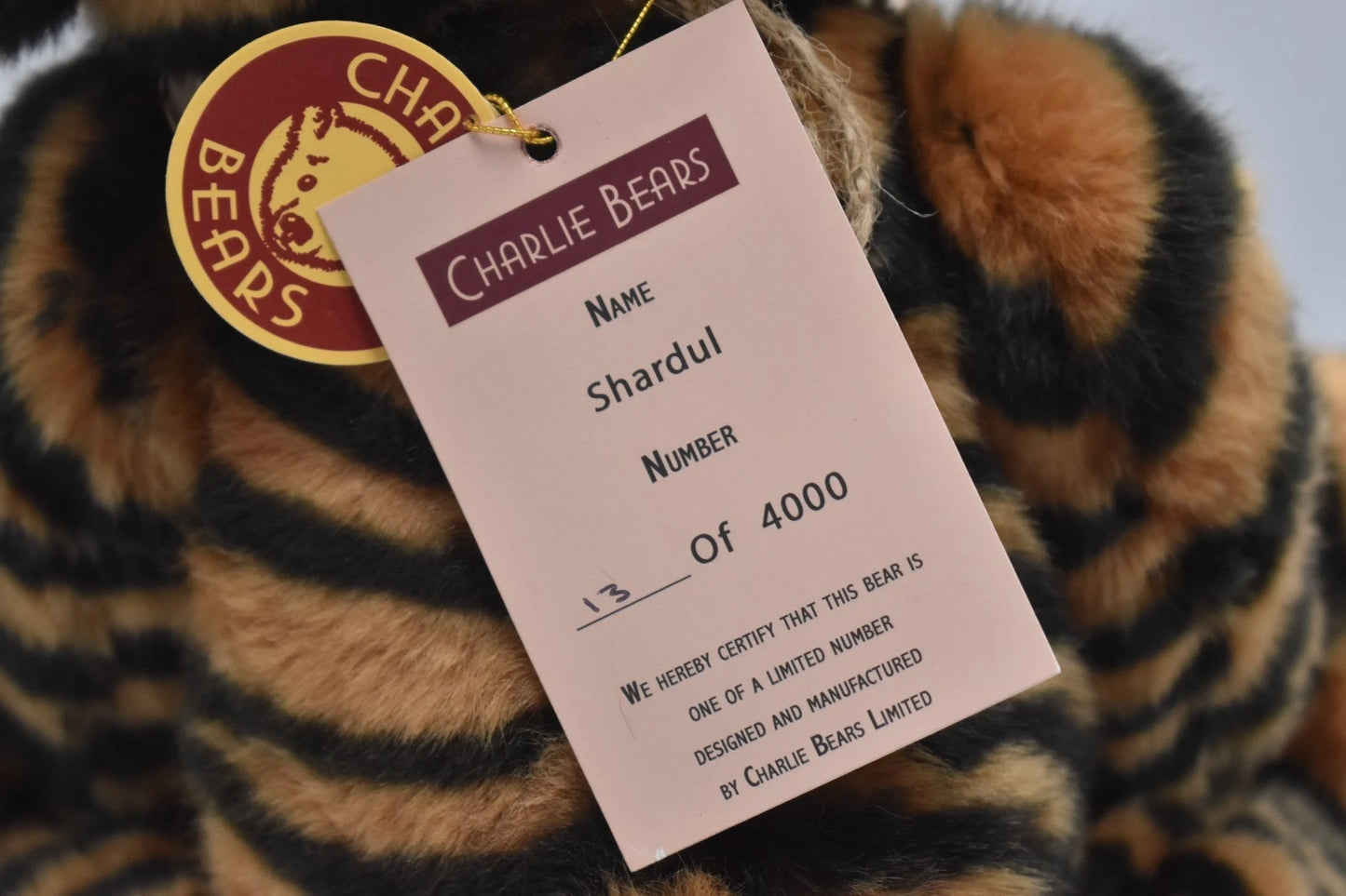 Charlie Bears Shardul Teddy Bear Retired Limited Edition Isabelle Lee Tagged