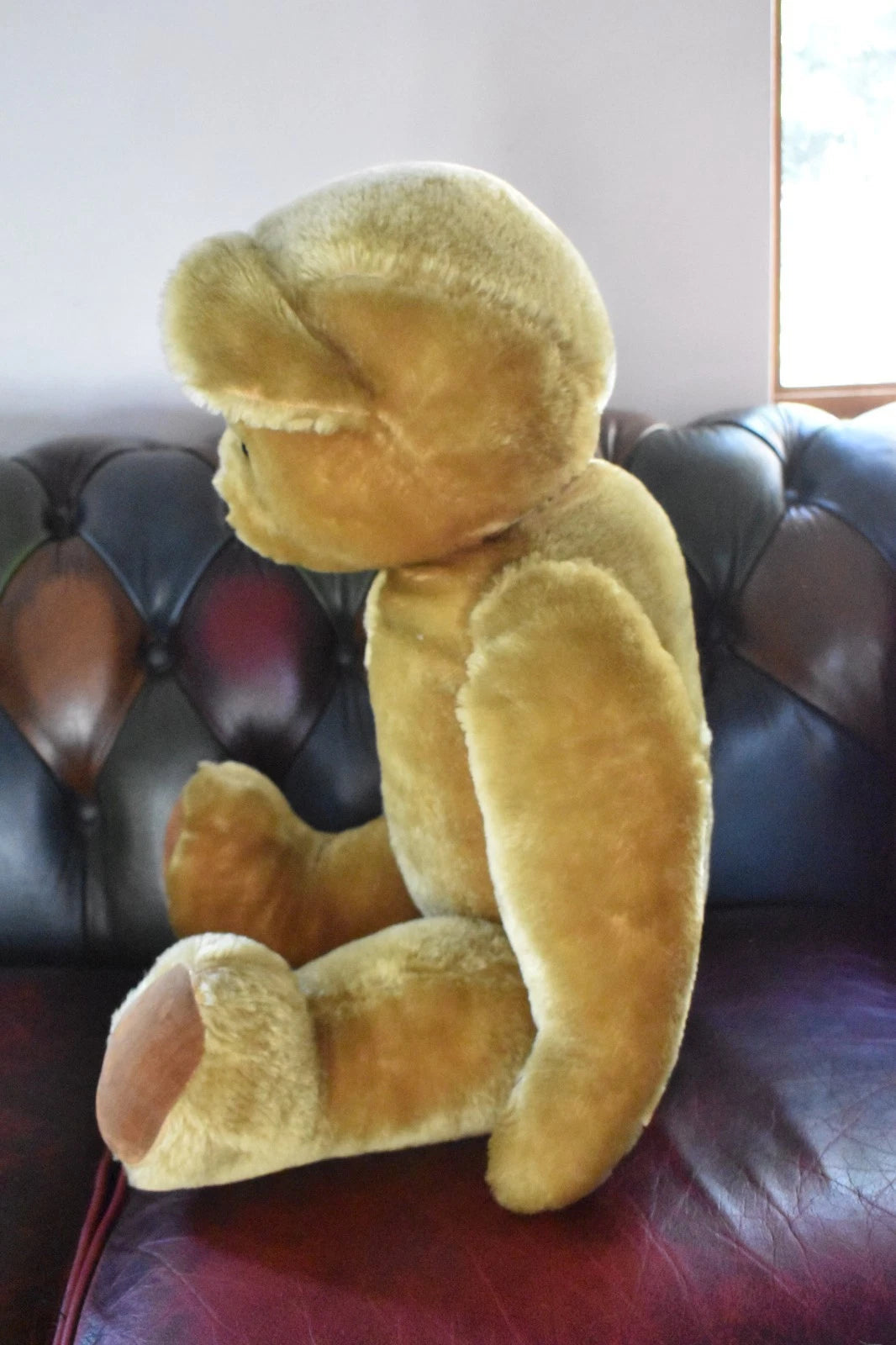 Vintage 1950s Pedigree Mohair Teddy Bear Bells Working Growler 70cm Collectable