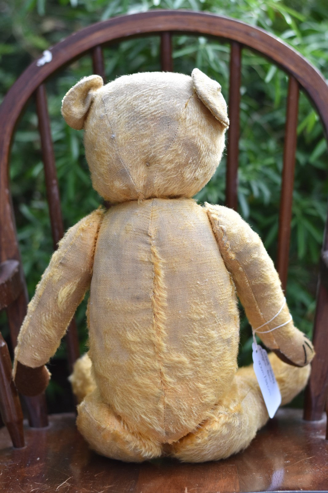 Vintage 1930s Chad Valley Magna Bear – With Foot Label – 50cm – Fully Jointed