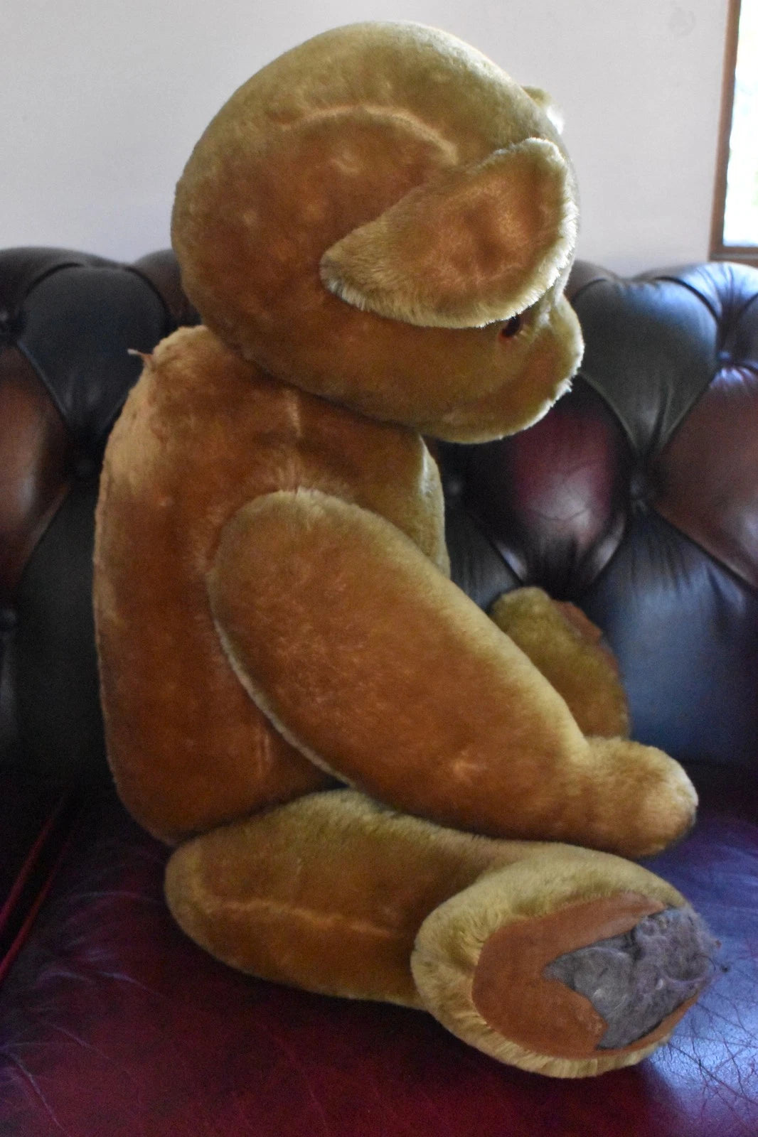 Vintage 1950s Pedigree Mohair Teddy Bear Bells 70cm Large Collectable