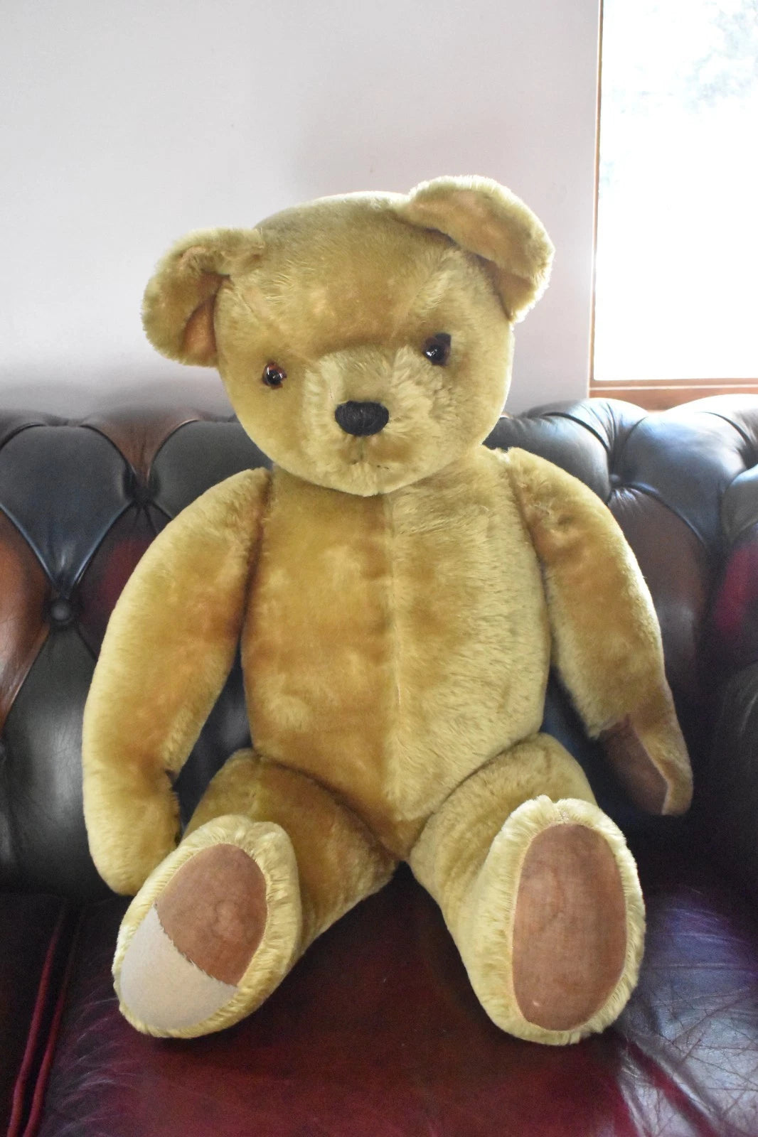 Vintage 1950s Pedigree Mohair Teddy Bear Bells Working Growler 70cm Collectable